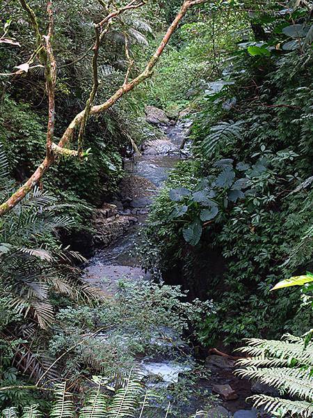 Linmei c8.JPG Linmei c8.JPG