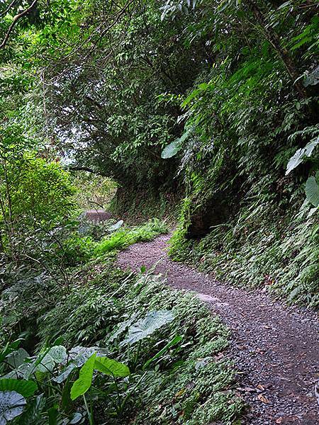 Linmei c2.JPG Linmei c2.JPG