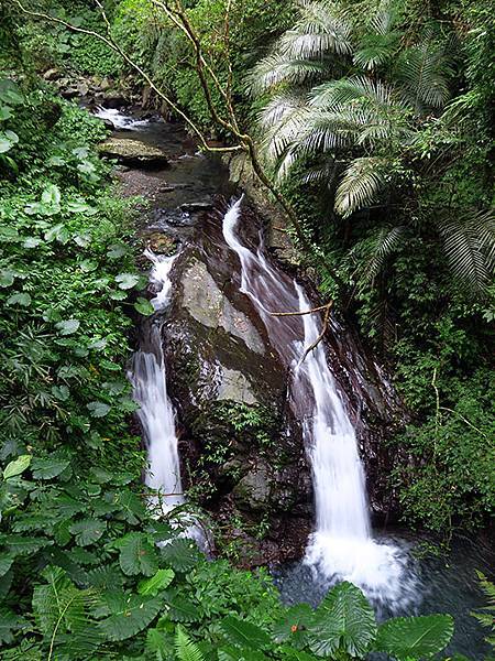 Linmei d2.JPG Linmei d2.JPG