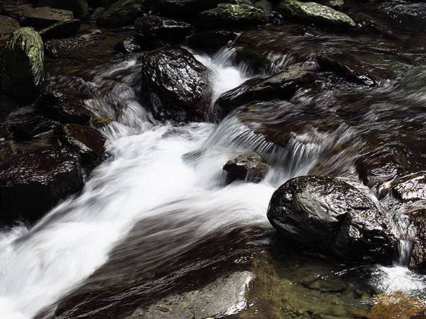 Linmei d3.JPG Linmei d3.JPG