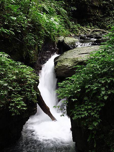 Linmei d4.JPG Linmei d4.JPG