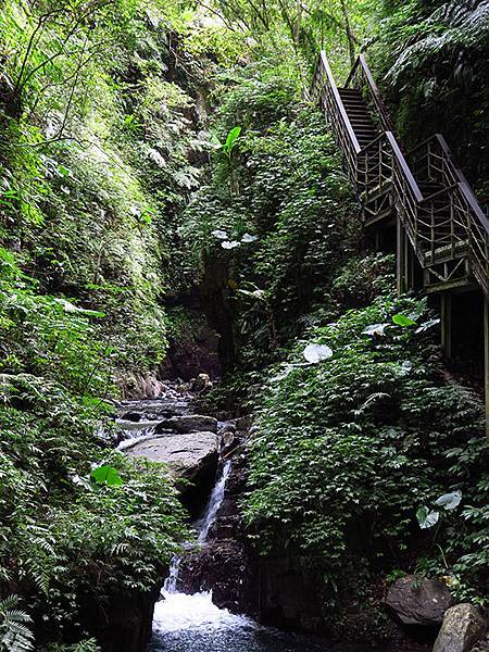 Linmei c9.JPG Linmei c9.JPG