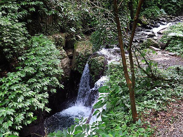 Linmei d5.JPG Linmei d5.JPG