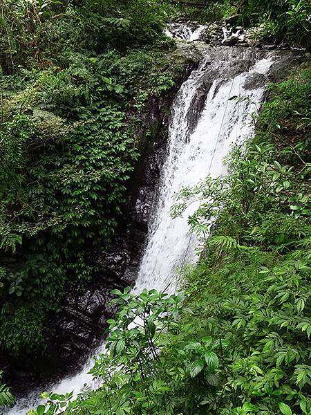 Linmei d6.JPG Linmei d6.JPG