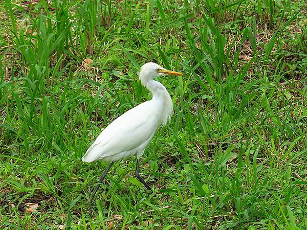 CBB d3.JPG CBB d3.JPG