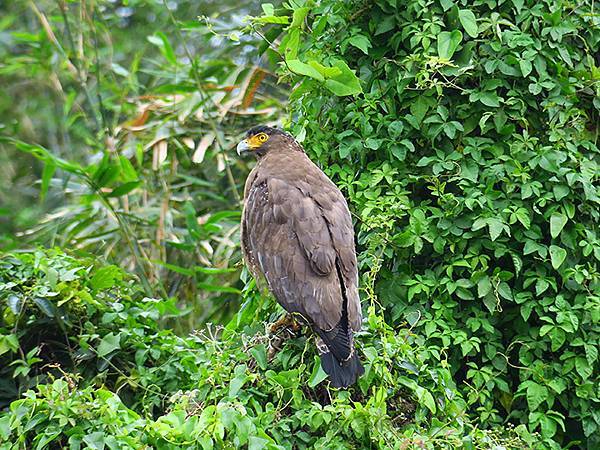 CBB d10.JPG CBB d10.JPG