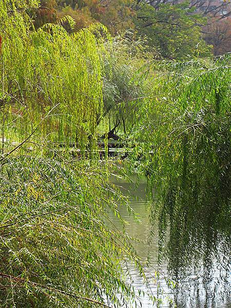 Barclay b5.JPG Barclay b5.JPG