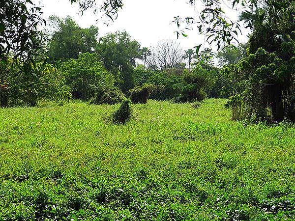 Barclay b2.JPG Barclay b2.JPG