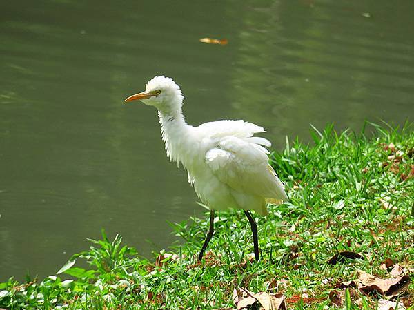 Barclay b7.JPG Barclay b7.JPG