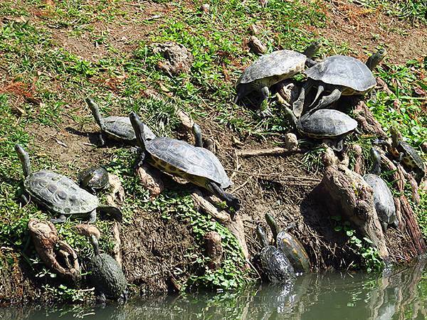 Barclay b9.JPG Barclay b9.JPG