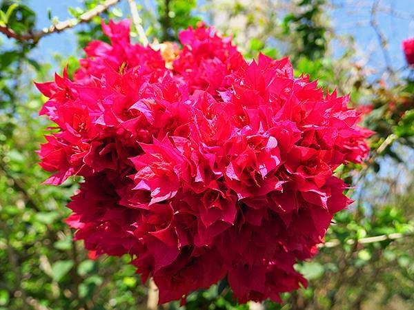 Barclay f2.JPG Barclay f2.JPG