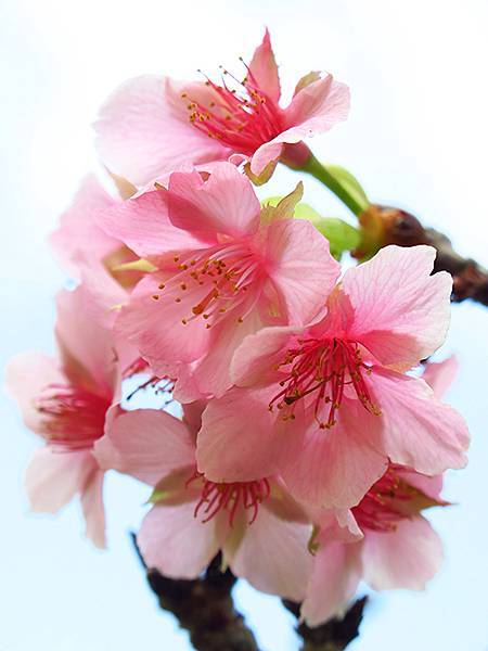 Barclay f6.JPG Barclay f6.JPG