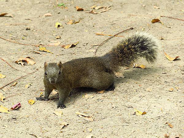 Barclay g4.JPG Barclay g4.JPG