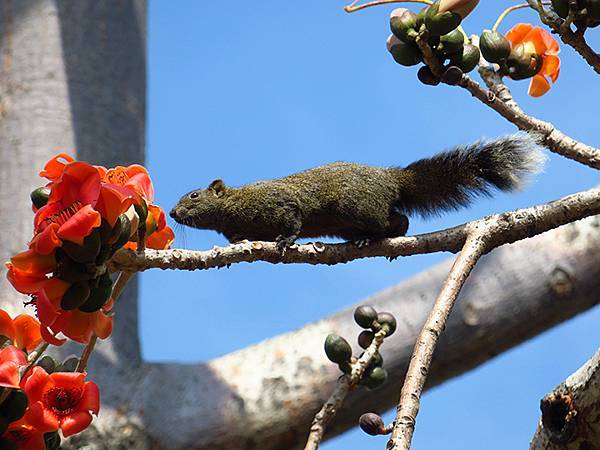 Barclay g5.JPG Barclay g5.JPG