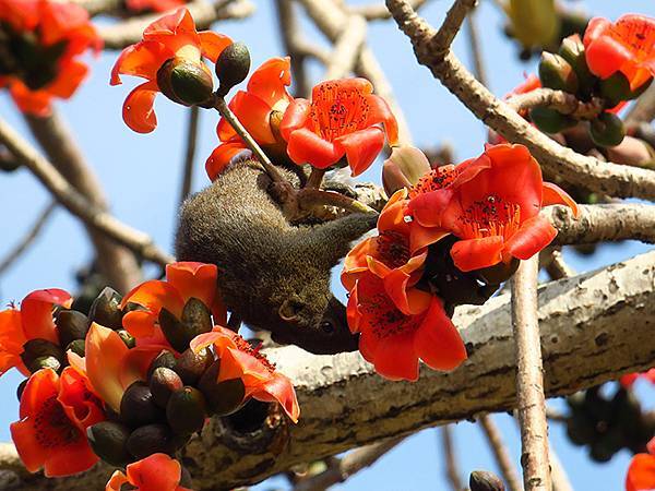 Barclay g6.JPG Barclay g6.JPG