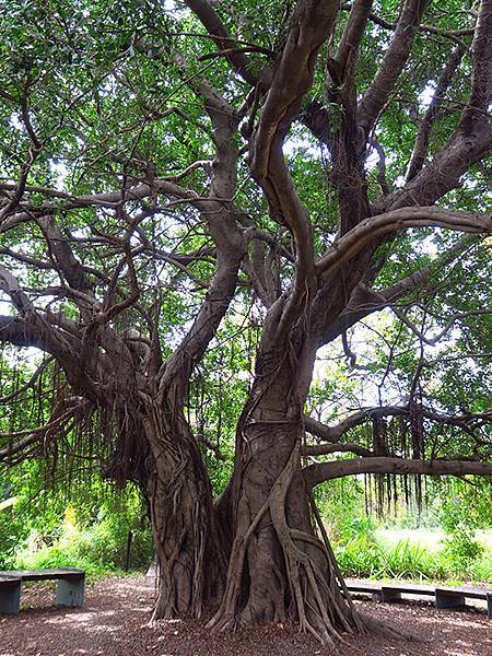 Barclay e8.JPG Barclay e8.JPG