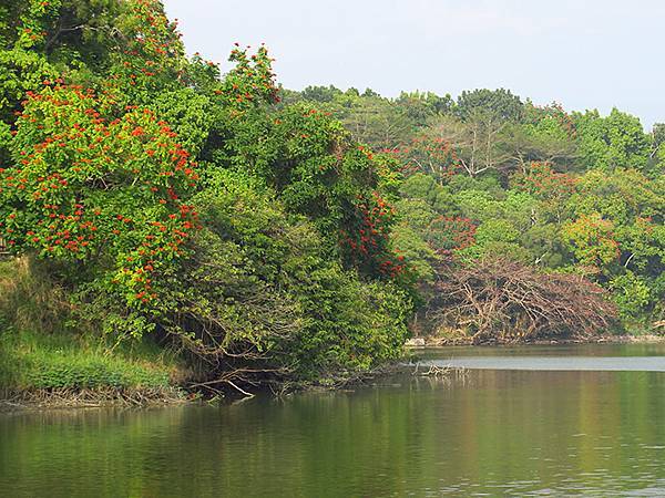 Sinhua f1.JPG Sinhua f1.JPG