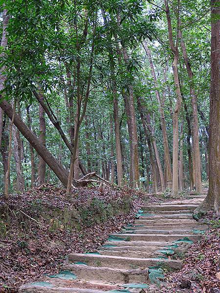 Sinhua f4.JPG Sinhua f4.JPG