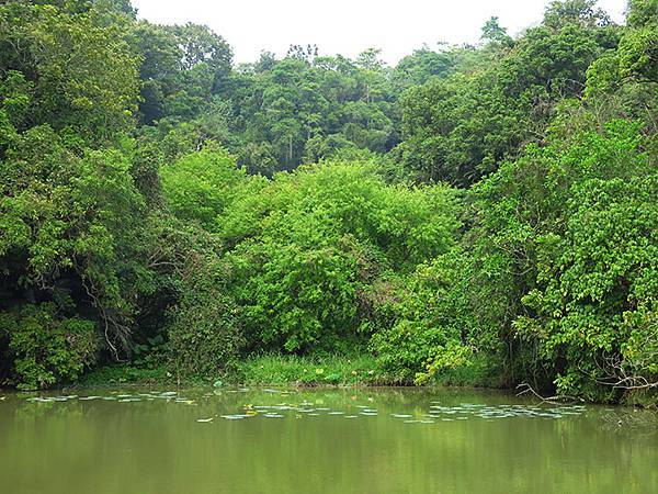 Sinhua g1.JPG Sinhua g1.JPG