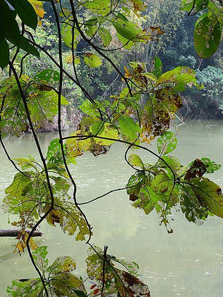 Sinhua f7.JPG Sinhua f7.JPG