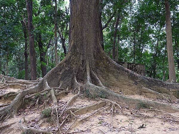 Sinhua f8.JPG Sinhua f8.JPG