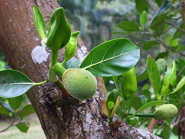 Sinhua h4.JPG Sinhua h4.JPG