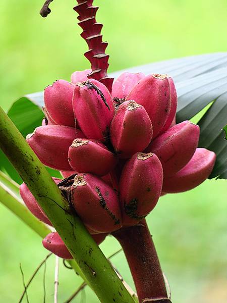 Sinhua h5.JPG Sinhua h5.JPG