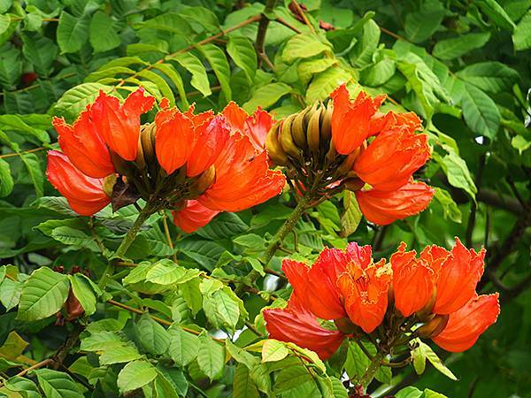 Sinhua j1.JPG Sinhua j1.JPG