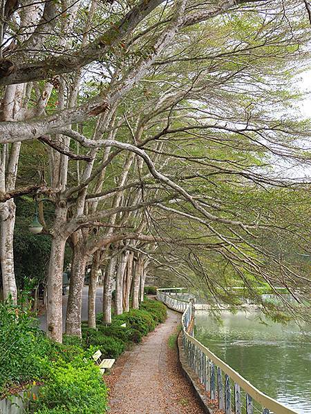 Sinhua i6.JPG Sinhua i6.JPG