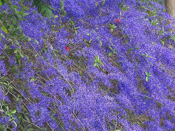 Sinhua j3.JPG Sinhua j3.JPG