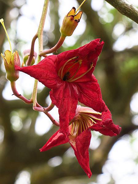 Sinhua j4.JPG Sinhua j4.JPG