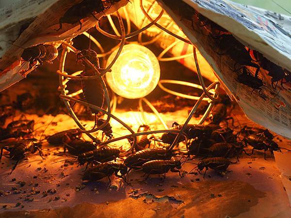 Sinhua j8.JPG Sinhua j8.JPG