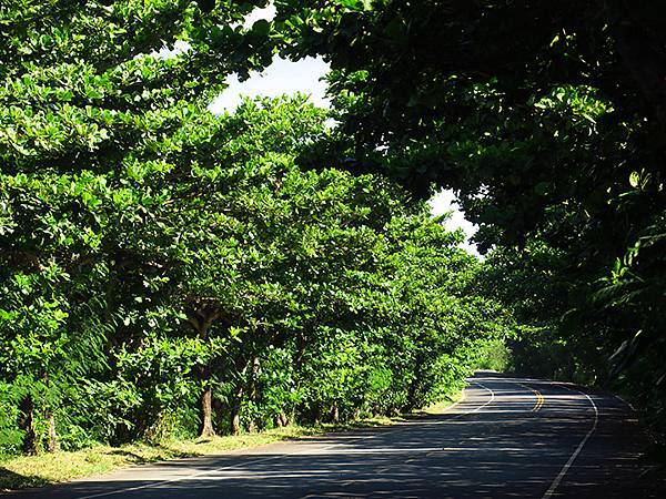 台灣‧墾丁(十三)‧港口海灘、大光沙灘等(Kengting 