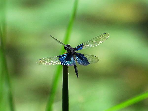 Lengshuikeng c3.JPG Lengshuikeng c3.JPG