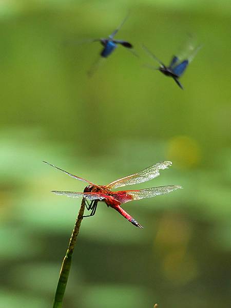 Lengshuikeng c4.JPG Lengshuikeng c4.JPG