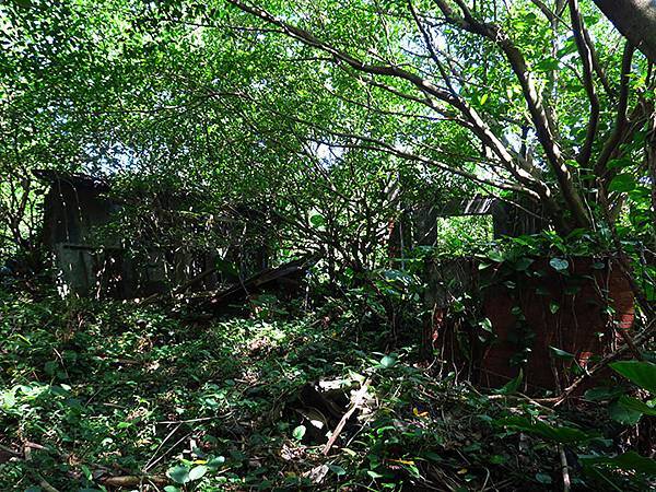 Jinguashi j9.JPG Jinguashi j9.JPG