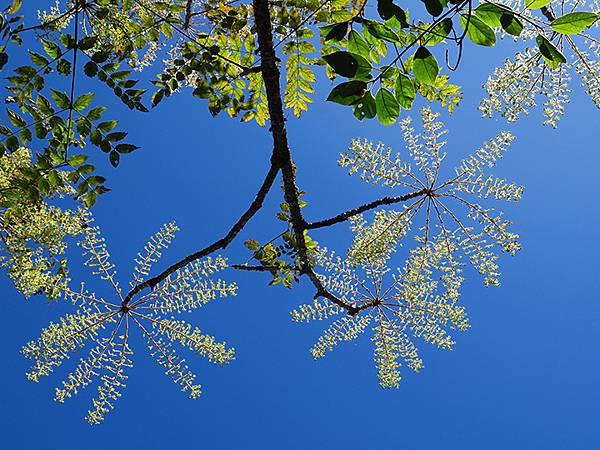 Jinguashi k7.JPG Jinguashi k7.JPG