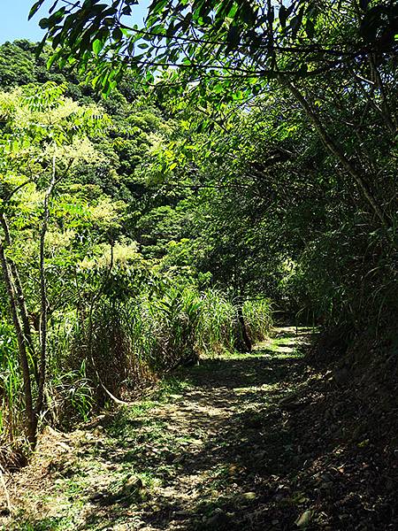 Jinguashi k5.JPG Jinguashi k5.JPG