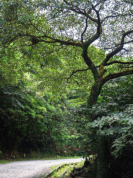 Jinguashi l1.JPG Jinguashi l1.JPG