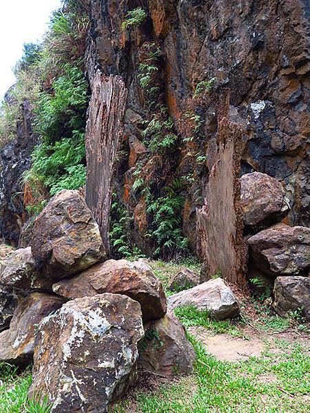 Jinguashi l3.JPG Jinguashi l3.JPG