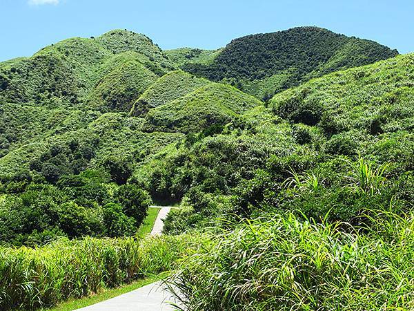 Jinguashi n5.JPG Jinguashi n5.JPG