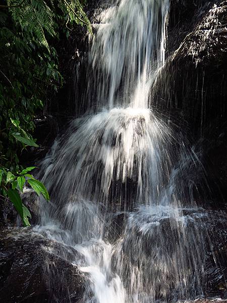 Wulai g3.JPG Wulai g3.JPG