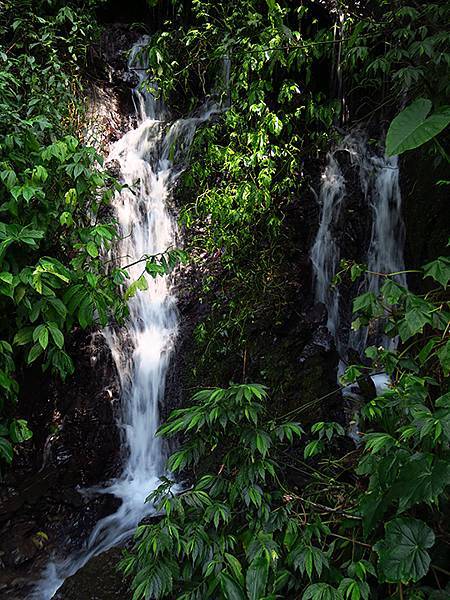 Wulai g7.JPG Wulai g7.JPG