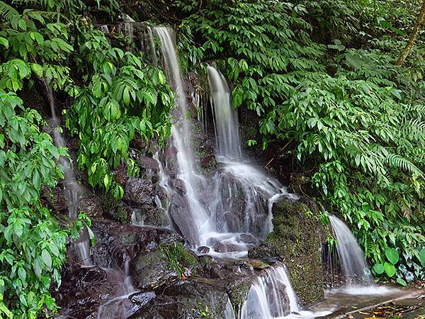 Wulai g6.JPG Wulai g6.JPG