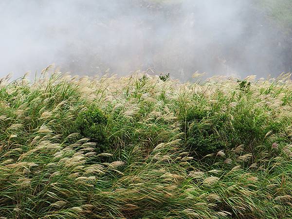 Yangming Mt ga2.JPG Yangming Mt ga2.JPG