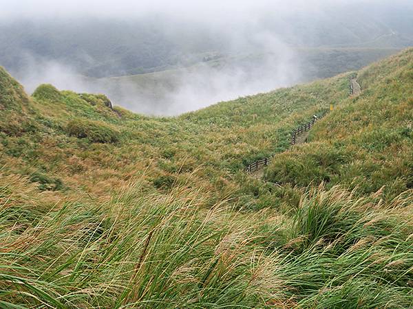 Yangming Mt ga4.JPG Yangming Mt ga4.JPG