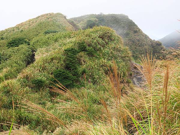 Yangming Mt ga6.JPG Yangming Mt ga6.JPG