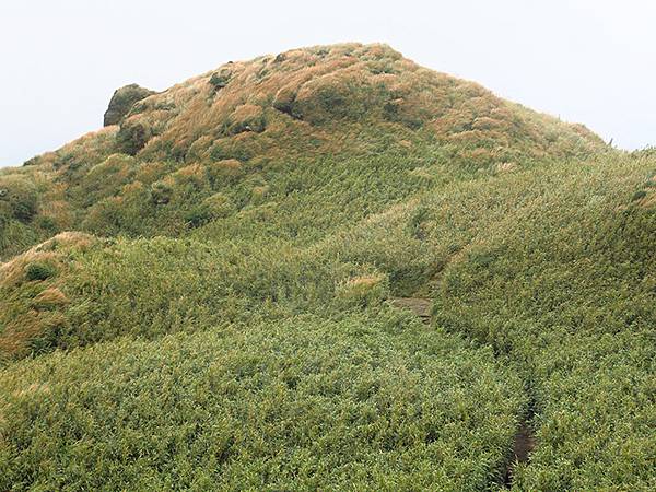 Yangming Mt gd1.JPG Yangming Mt gd1.JPG