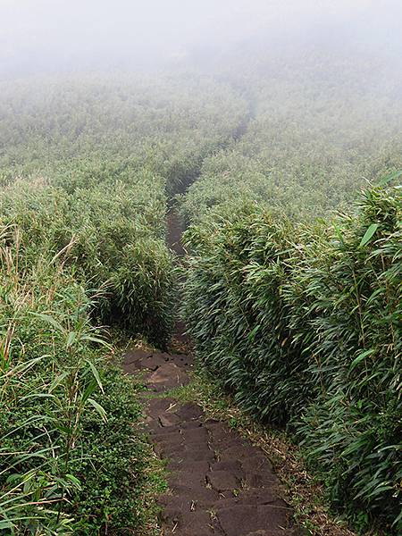 Yangming Mt gd2.JPG Yangming Mt gd2.JPG