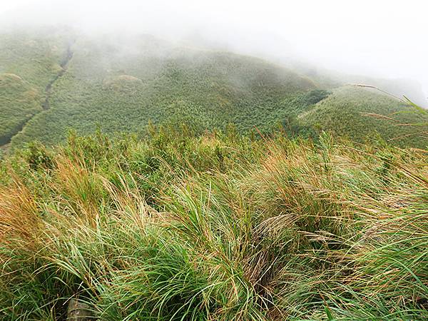 Yangming Mt gc2.JPG Yangming Mt gc2.JPG